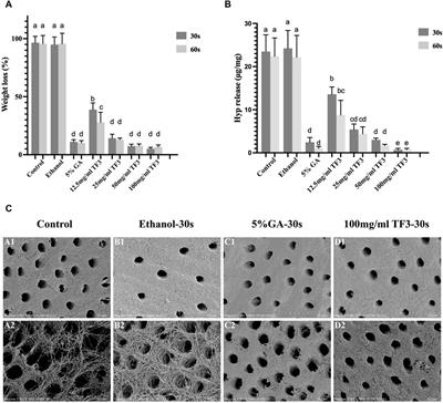 Theaflavin −3,3'-digallate/ethanol: a novel cross-linker for stabilizing dentin collagen